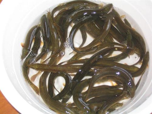 水產(chǎn)品檢測(cè)的謠言