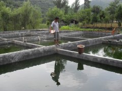 水中硫化氫檢測(cè)儀，可以為水產(chǎn)養(yǎng)殖做什么？