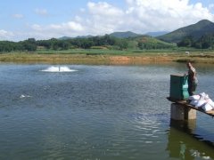 水產(chǎn)養(yǎng)殖檢測儀，為水產(chǎn)提供優(yōu)良的生長環(huán)境