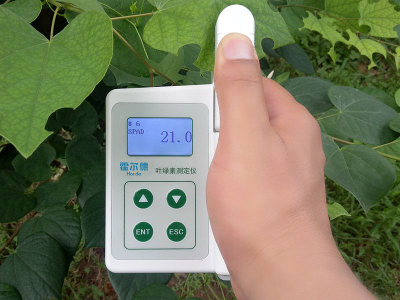 葉綠素含量測量儀，可用于植物施肥的依據(jù)