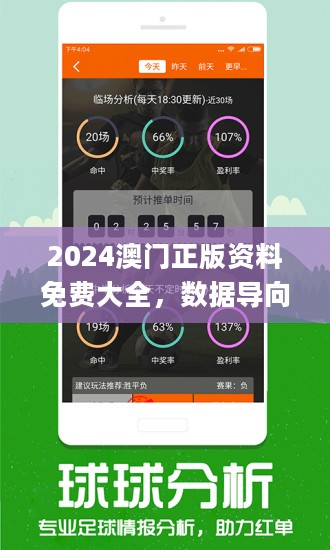 2024澳门免费资料,正版资料,高效解析计划实施_合作版46.581