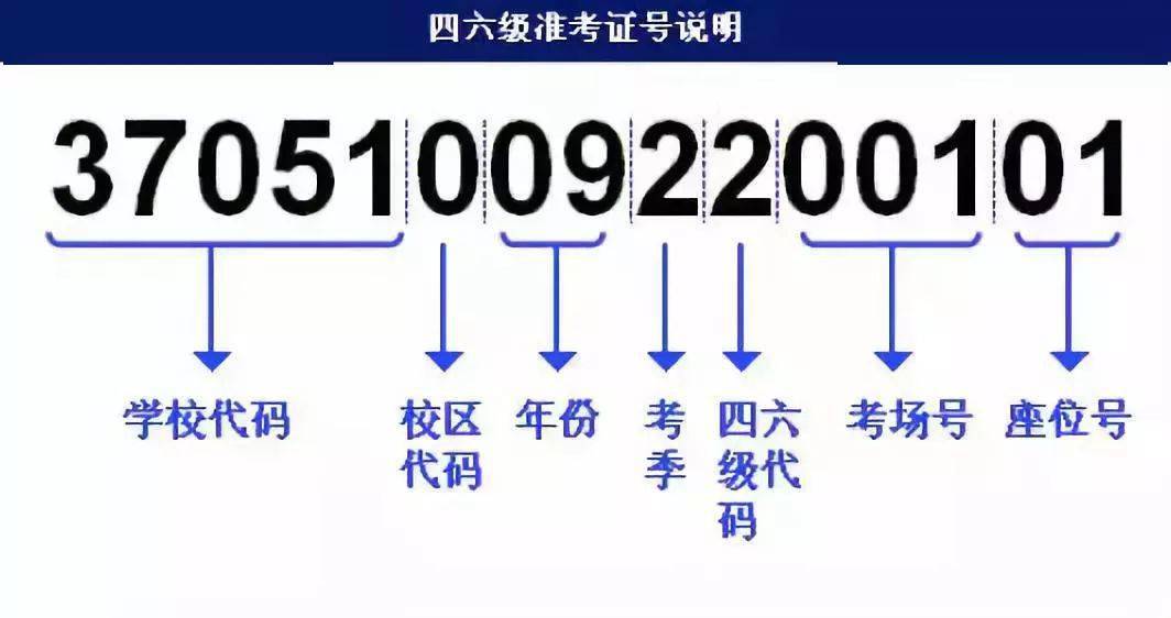 澳门正版资料免费大全新闻最新大神,细致策略解答探讨解释_宣传集6.229