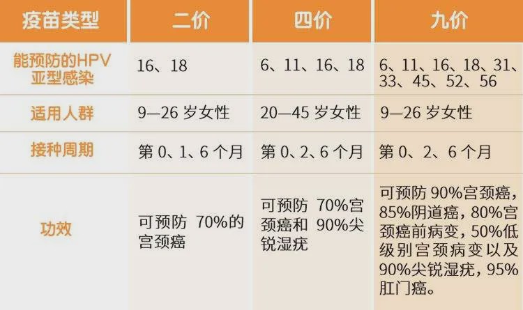 最准一码一肖100%精准老钱庄揭秘,标准解答解释落实_创新型58.18