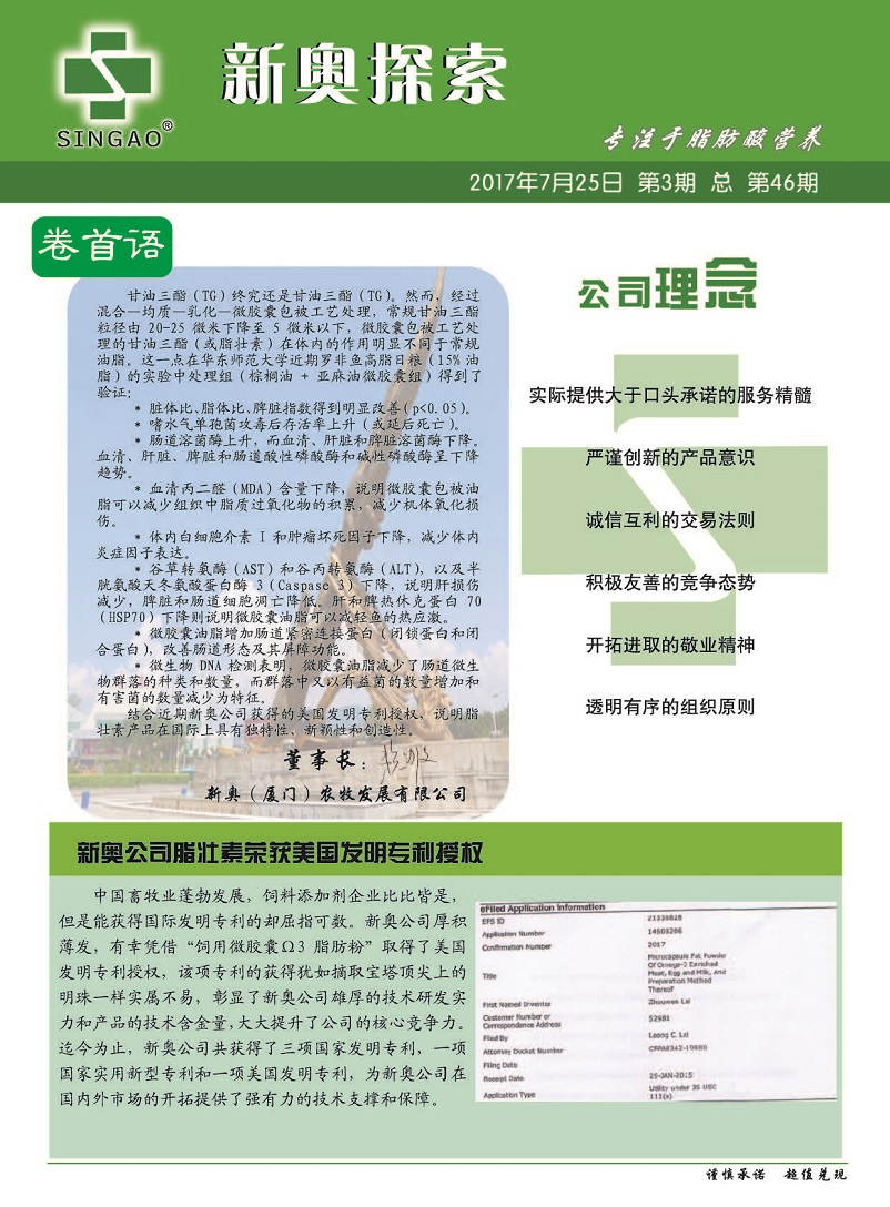 2004新奥精准资料免费提供,2004新奥精准资料免费提供，回顾与启示