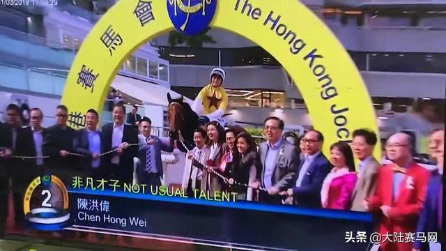 2024今晚香港开特马开什么,探索香港赛马文化，2024今晚特马赛事展望