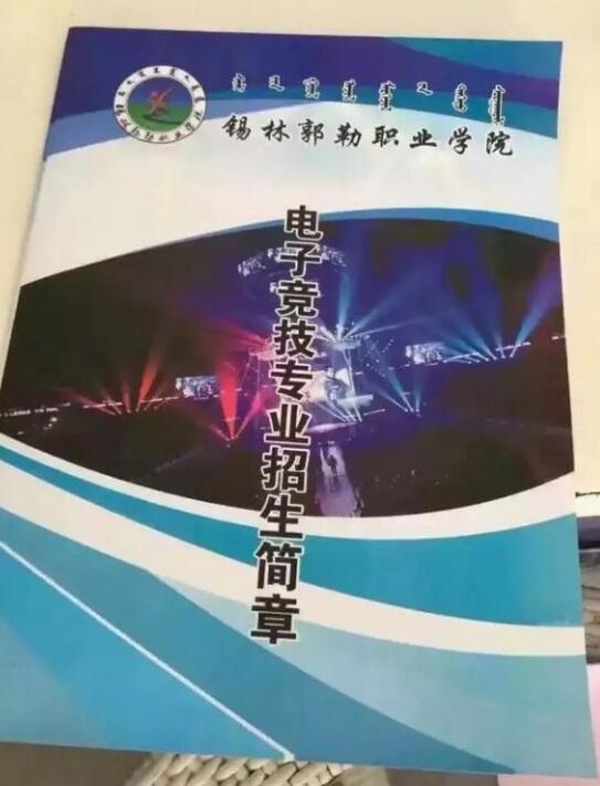 2024澳门天天开好彩大全,澳门天天开好彩，梦想与现实之间的博弈