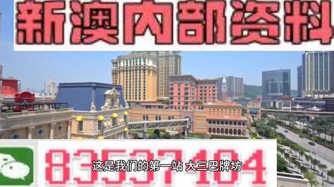 2024澳门正版资料大全免费大全新乡市收野区,关于澳门正版资料与非法活动的警示——以新乡市收野区为例