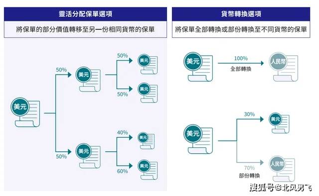 2024年香港开奖结果记录,揭秘香港彩票市场，2024年开奖结果记录深度解析