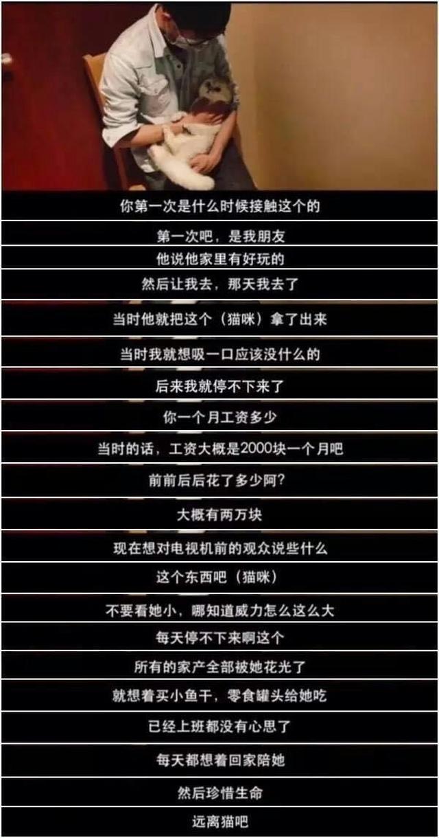 澳门一码一码100准确,澳门一码一码100准确，揭示真相与警醒社会