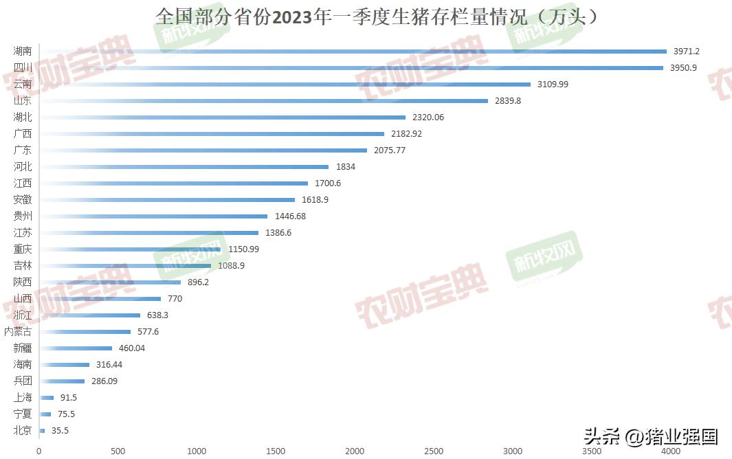 广东最新生猪价格,广东最新生猪价格分析与展望