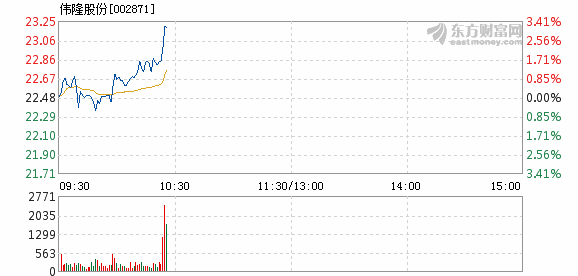 伟隆股份最新消息,伟隆股份最新消息全面解读