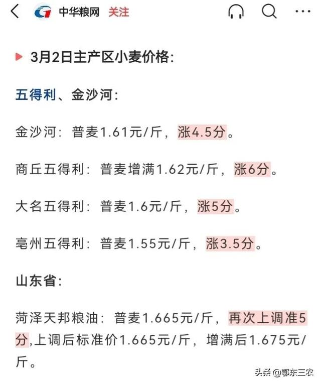 山东今日小麦最新价格,山东今日小麦最新价格动态分析