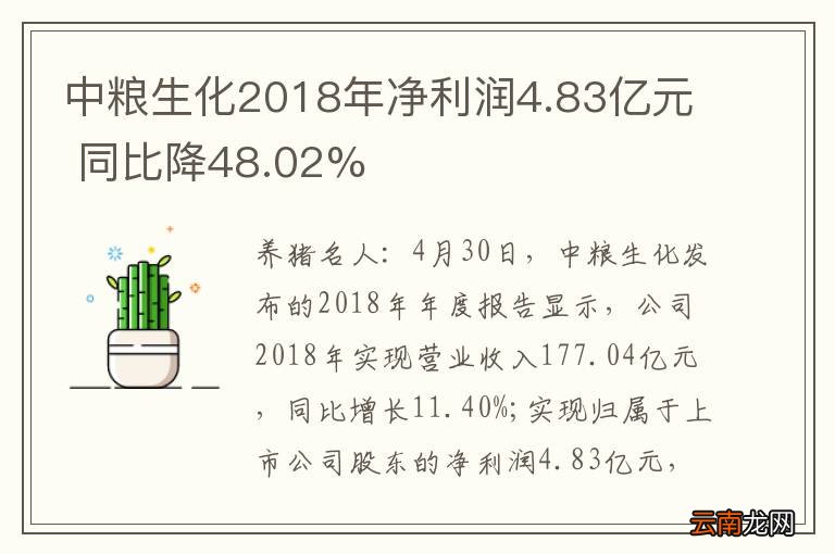 中粮生化最新消息,中粮生化最新消息及其影响分析