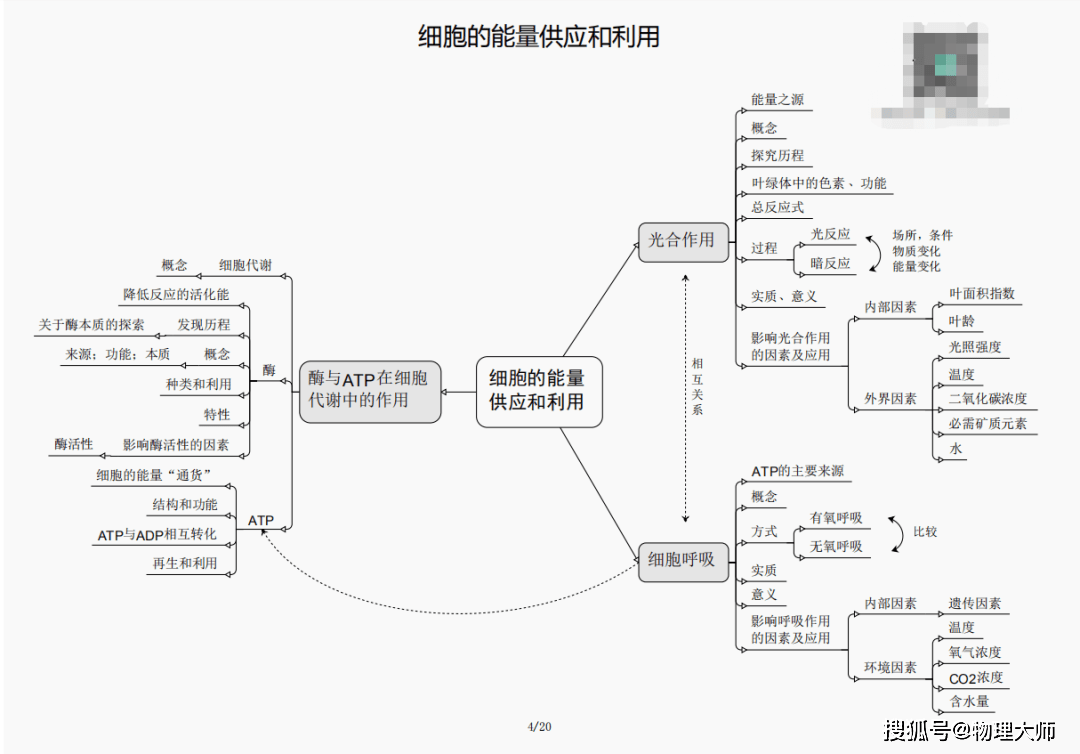 新澳门黄大仙三期必出,新澳门黄大仙三期必出——揭示犯罪真相与应对之道