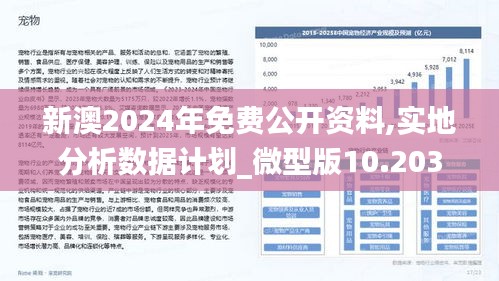 新澳2024年最新版,全方位操作计划_迅捷版45.715