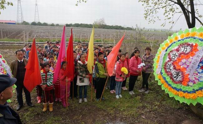 华阳河农场总场最新项目,华阳河农场总场最新项目，引领农业现代化新潮流