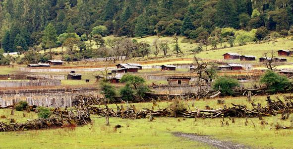 东巴村最新天气预报,东巴村最新天气预报