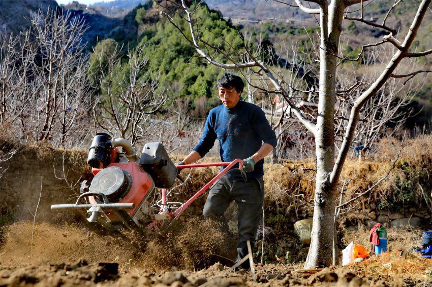 丹巴县住房和城乡建设局最新项目,丹巴县住房和城乡建设局最新项目概览