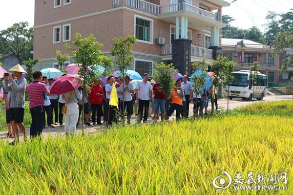 荆州市市农业局最新项目,荆州市市农业局最新项目，引领农业现代化，助力乡村振兴