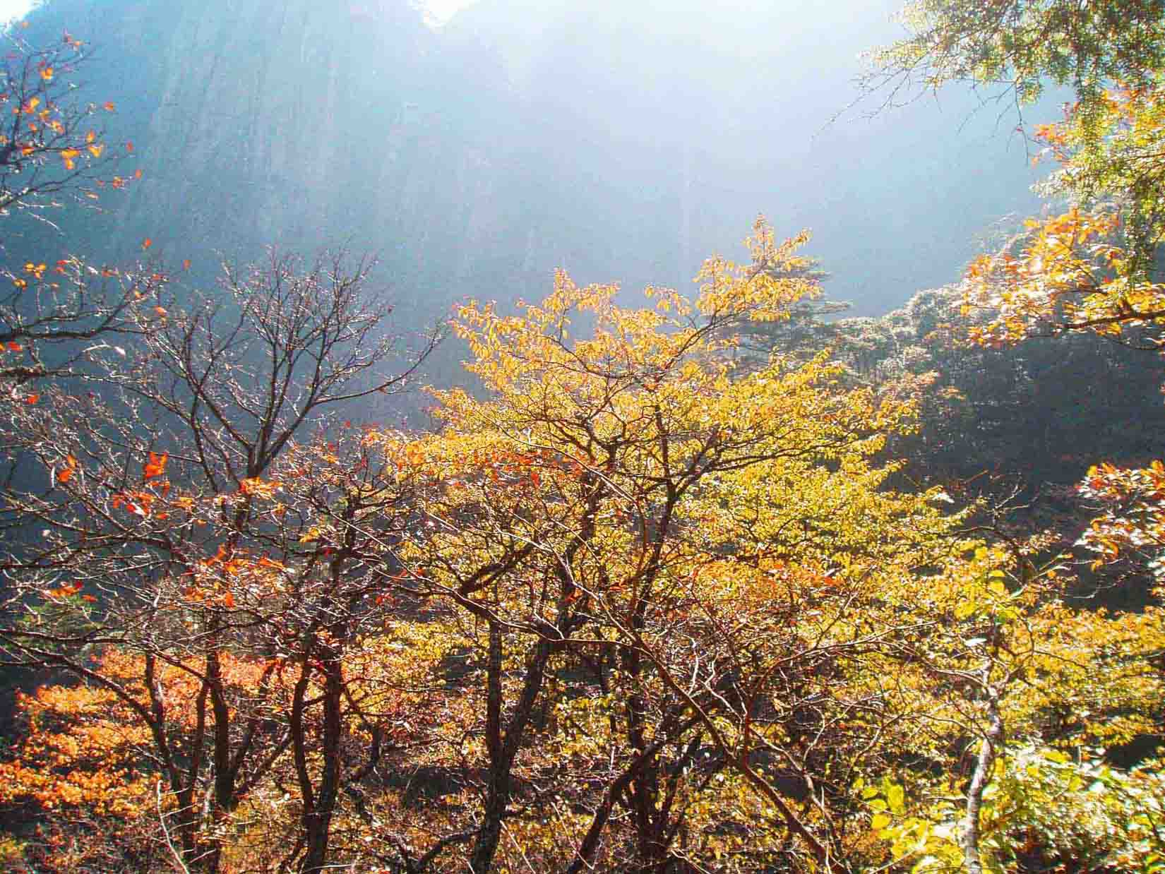 峻岭林场最新天气预报,峻岭林场最新天气预报