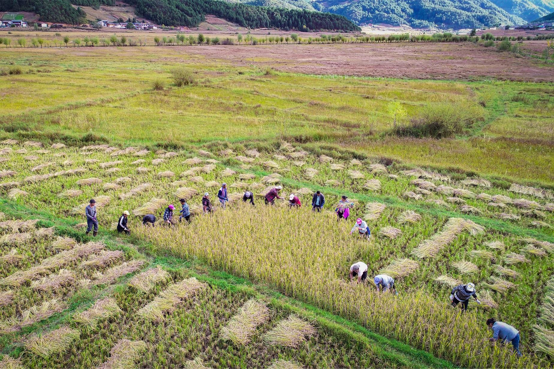 攀天阁乡最新新闻,攀天阁乡最新新闻，发展动态与社区更新