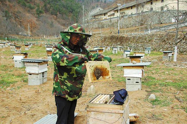 柞水县财政局最新项目,柞水县财政局最新项目，推动地方经济高质量发展