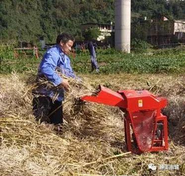 南郊乡最新新闻,南郊乡最新新闻报道