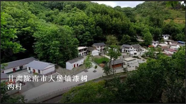 灯光村最新项目,灯光村最新项目，点亮乡村未来，构建宜居新典范