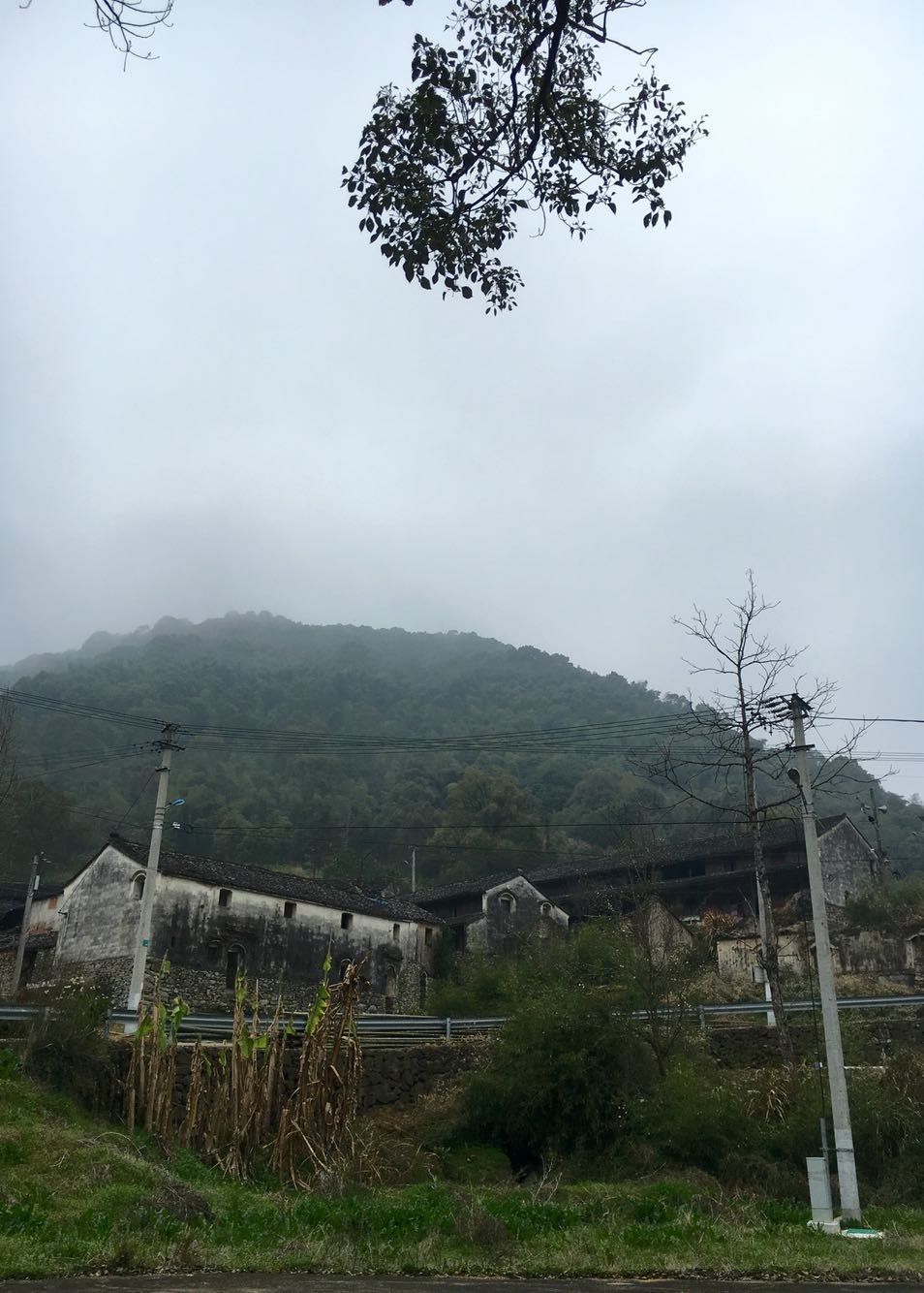 西岩山村委会最新天气预报,西岩山村委会最新天气预报