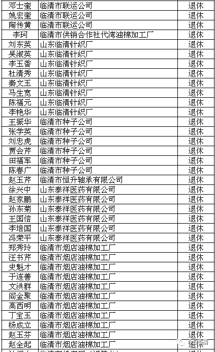 临清市人力资源和社会保障局最新项目,临清市人力资源和社会保障局的最新项目，推动地方经济与社会发展的强大引擎