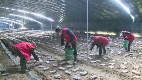 海阳市农业农村局最新项目,海阳市农业农村局最新项目，推动农业现代化，助力乡村振兴