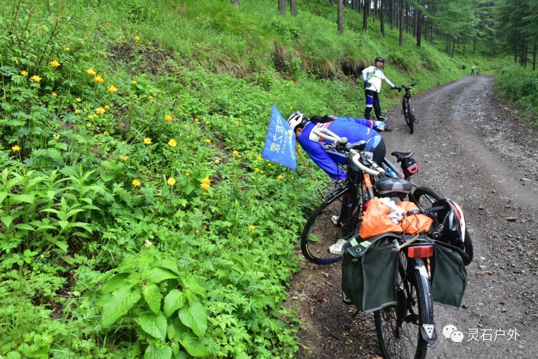 山西省晋中市灵石县南关镇最新天气预报,山西省晋中市灵石县南关镇最新天气预报