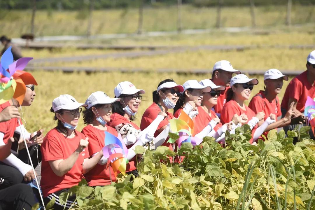 大洼县文化广电体育和旅游局最新领导,大洼县文化广电体育和旅游局最新领导团队概述