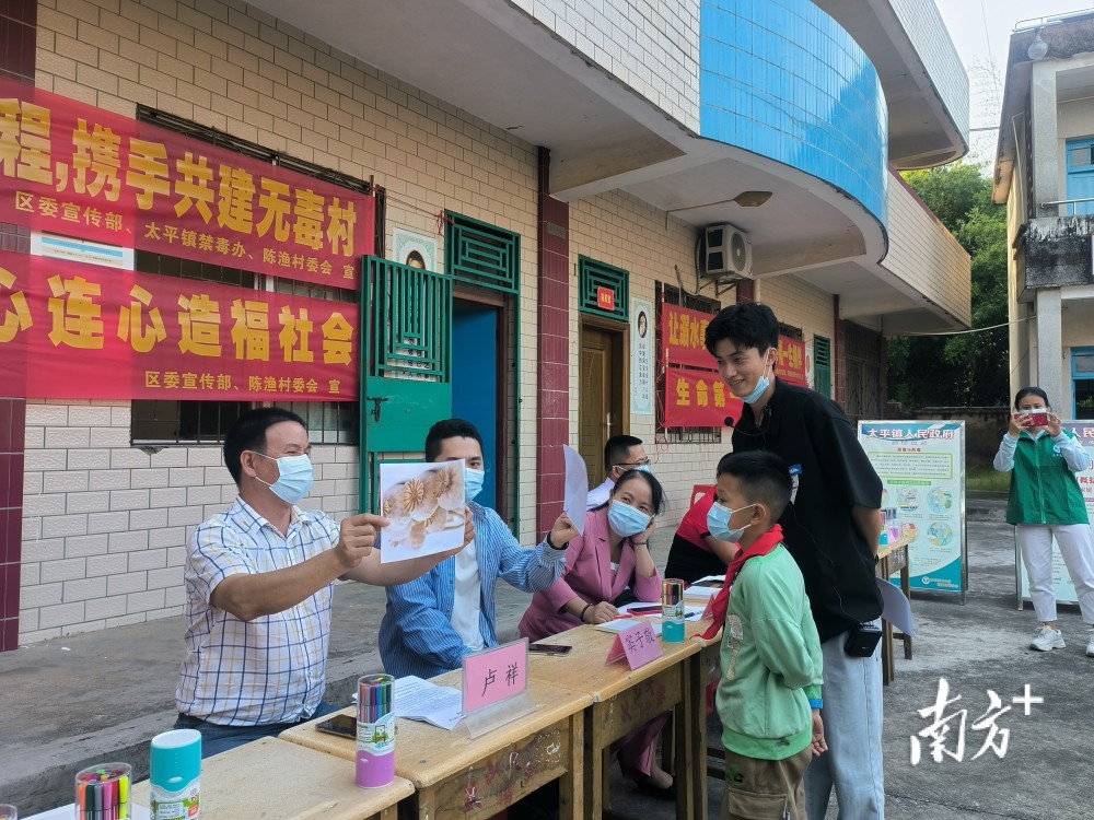 麻章区小学最新项目,麻章区小学最新项目，探索与启示