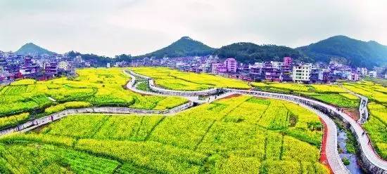 虹山乡最新领导,虹山乡最新领导团队，引领乡村走向新篇章