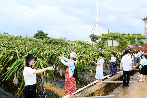 新澳精选资料免费提供|便利释义解释落实,新澳精选资料免费提供，助力学习之路，便利释义解释落实