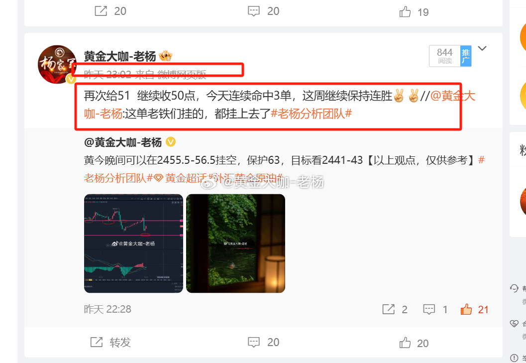 最准一肖一码100精准的评论|狼籍释义解释落实,最准一肖一码与狼籍释义，深度解析与精准评论