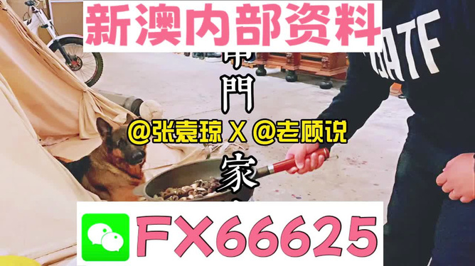 新澳门精准资料大全管家婆料|功率释义解释落实,新澳门精准资料大全与功率释义，管家婆料在行动中的落实