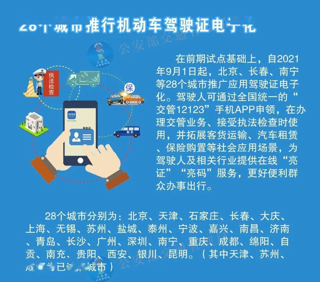 2025澳门正版免费码资料|丰盛释义解释落实,探索澳门正版资料的世界，丰盛释义、解释与落实