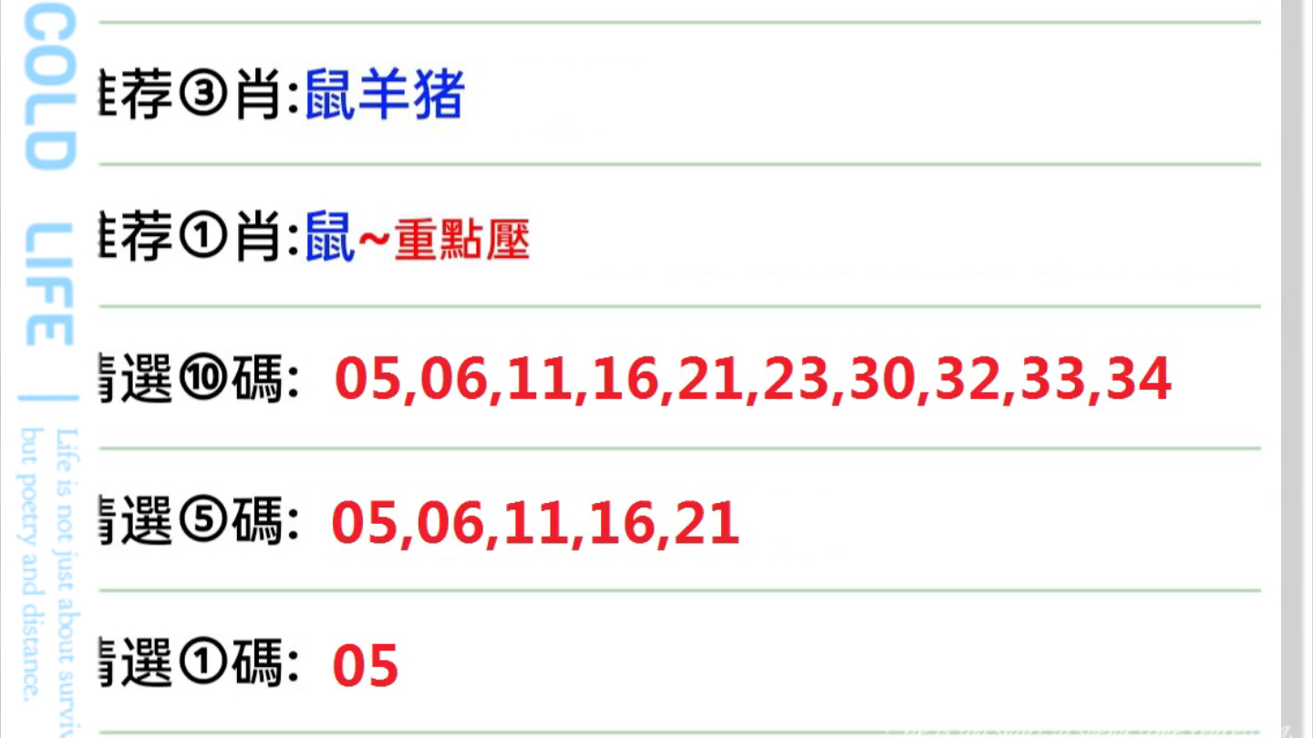 澳门今晚特马开什么号|测评释义解释落实,澳门今晚特马号码预测与测评释义解释落实探讨