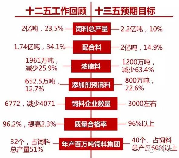 2025新澳门天天彩期期精准|程序释义解释落实,探索未来彩票世界，精准预测与程序释义的落实之路 —— 以澳门天天彩为例