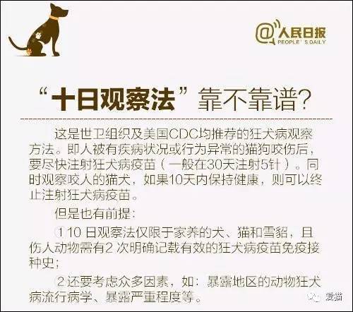 新澳天天开奖资料大全最新54期129期|准确释义解释落实,新澳天天开奖资料大全最新期数，深度解读与准确释义