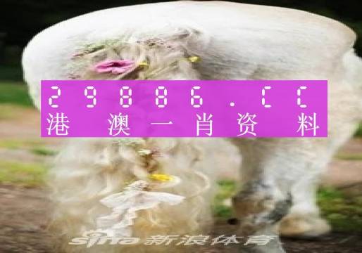 澳门一肖一码一一特一中,全面解答_探索版75.509