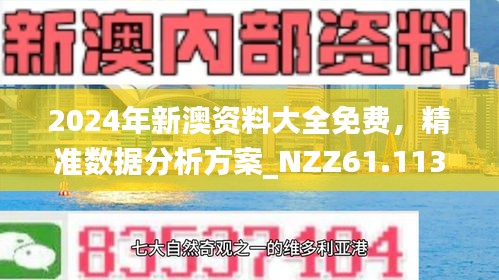 2024新澳精准资料免费提供网站,数据指导策略规划_精密版70.911