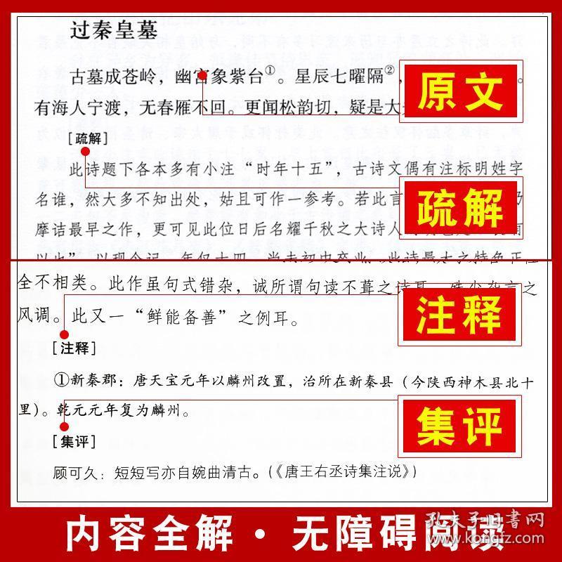 一码一肖100准正版资料|新品释义解释落实,一码一肖，正版资料与新品释义的精准落实