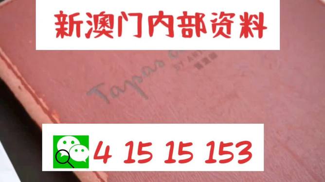 新澳门内部精准资料|良师释义解释落实,新澳门内部精准资料与良师释义解释落实的深度解析